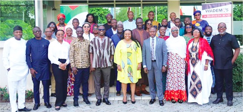  Strengthening institutions crucial for democracy in Africa — Media Foundation for West Africa