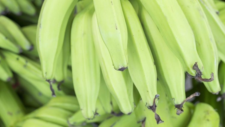  Farmer jailed 8 months for stealing plantain and cassava 