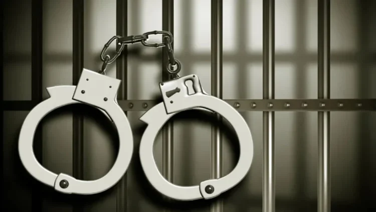  50 Nigerians arrested in McCarthy Hills raid over cyber fraud and trafficking